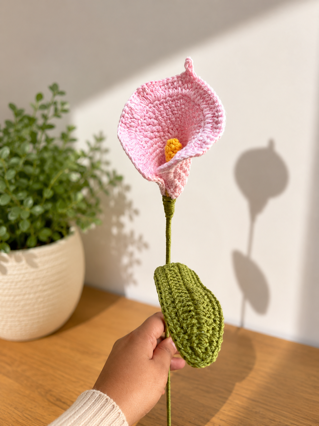 Blush lilly