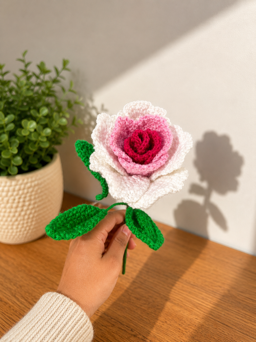 Candy Rose